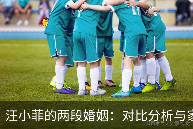 汪小菲的两段婚姻：对比分析与家庭动态探讨